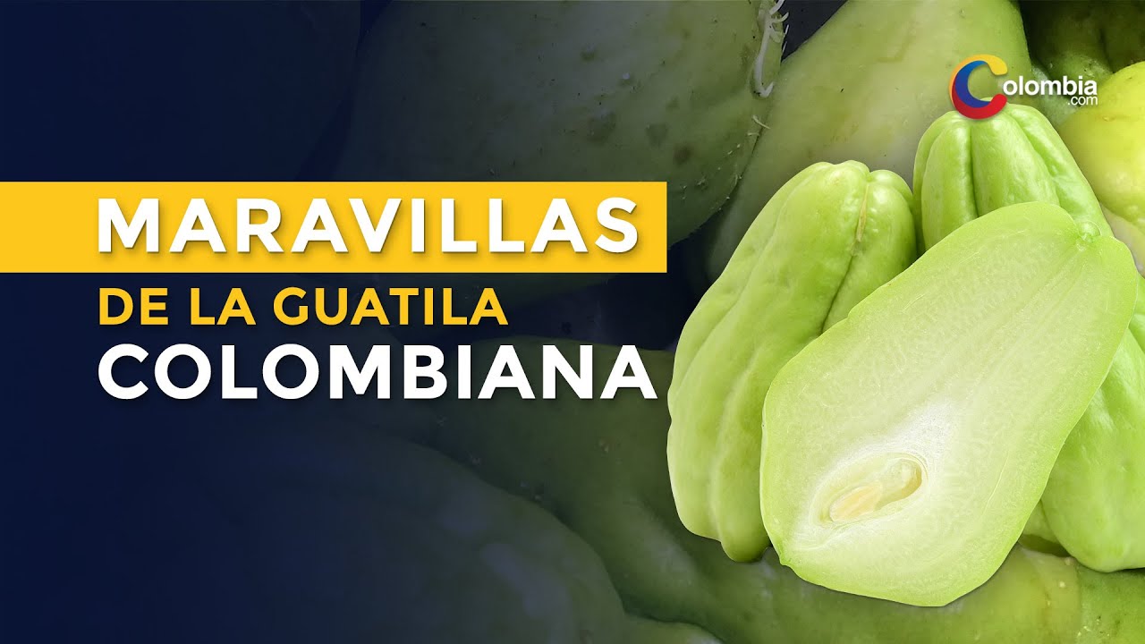 La guatila colombiana: &iquest;Para qu&eacute; es y cu&aacute;les son sus grandes maravillas?
