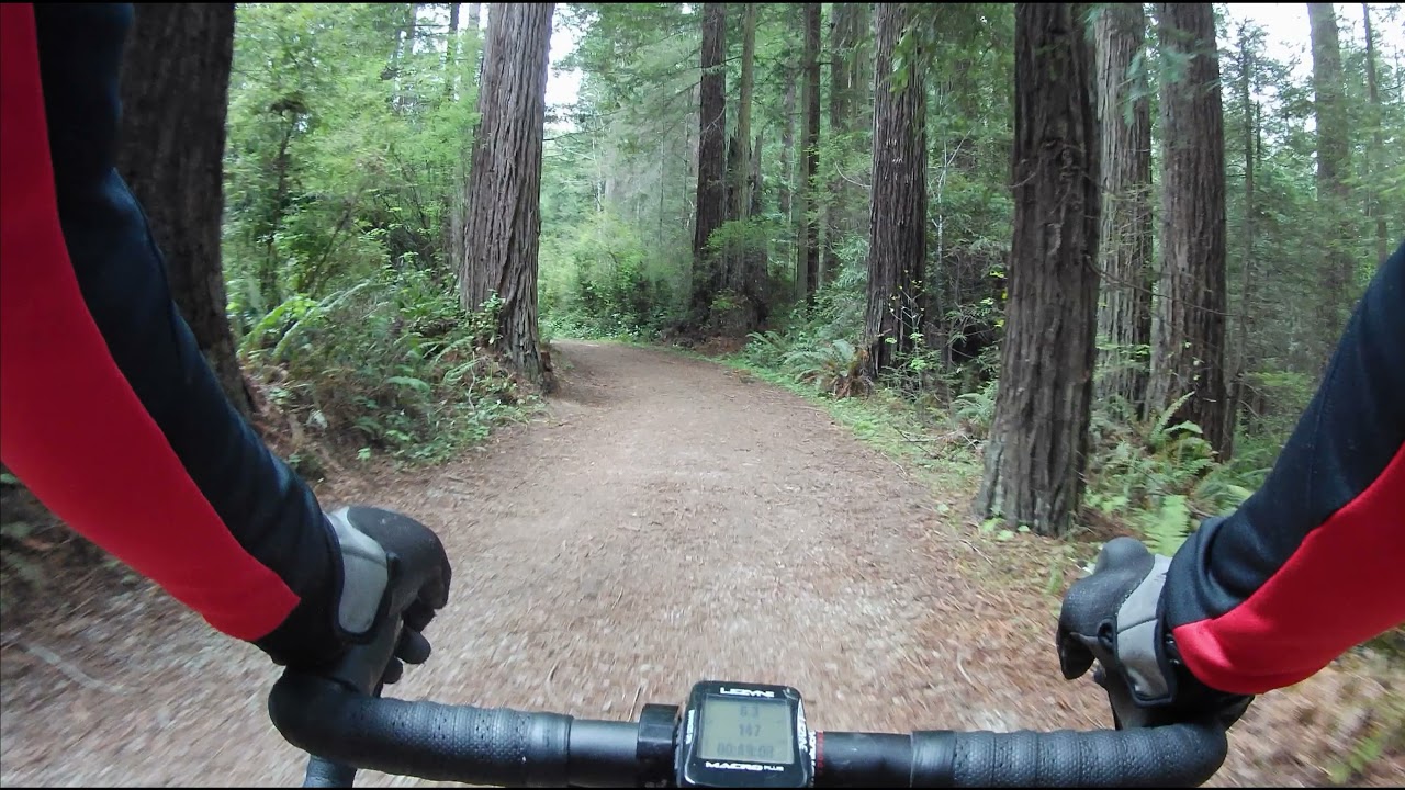 Arcata Community Forest Gravel Bike Ride, Humboldt Ca.