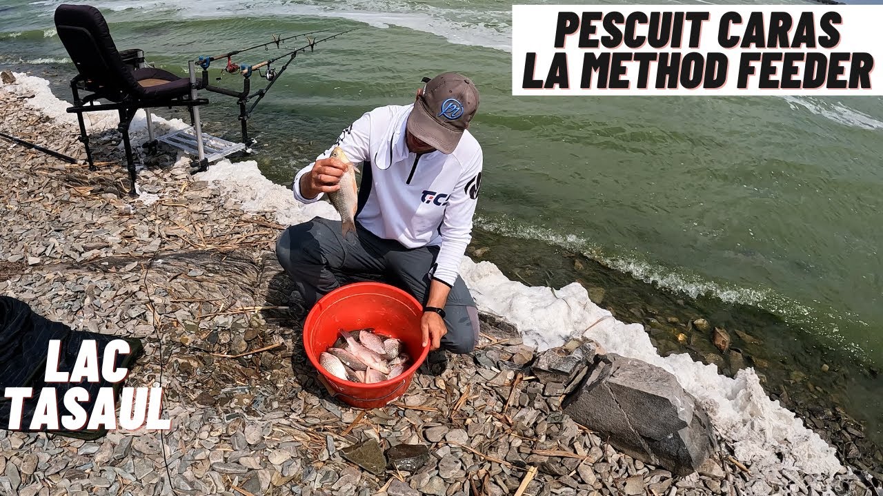 Pescuit Caras la Method Feeder pe Lac Tasaul