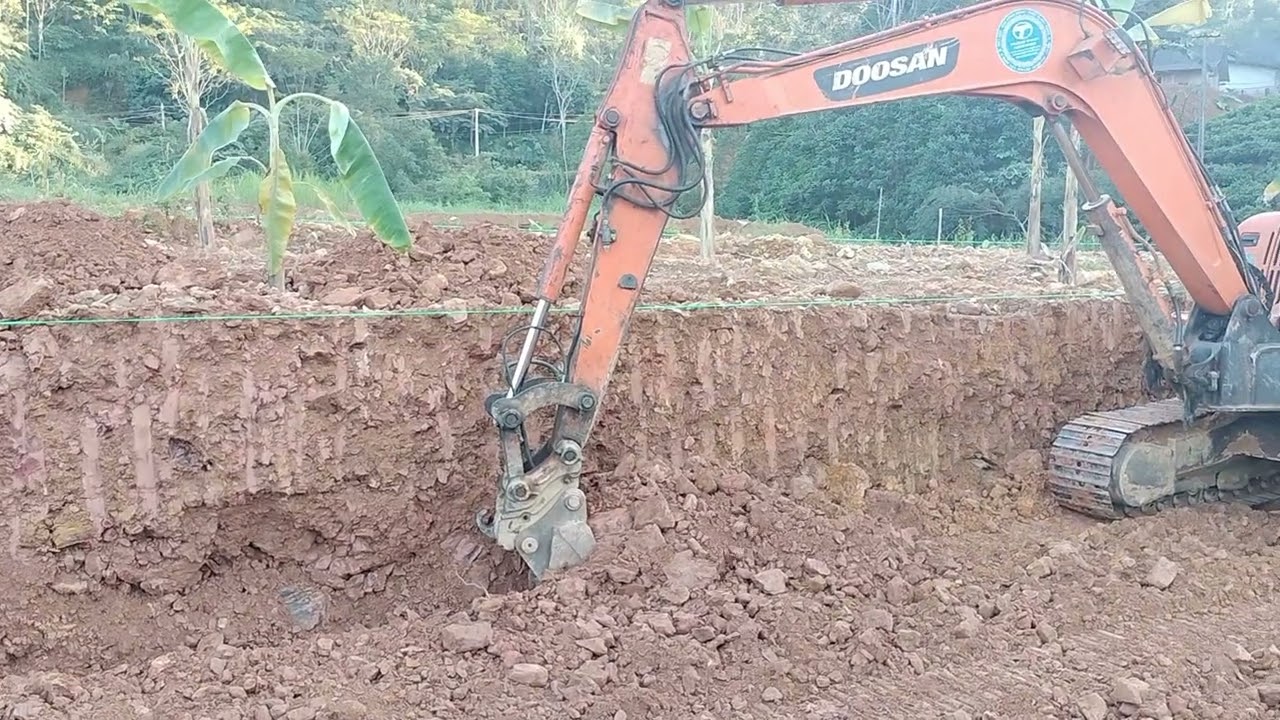 29 tháng 11, 2025