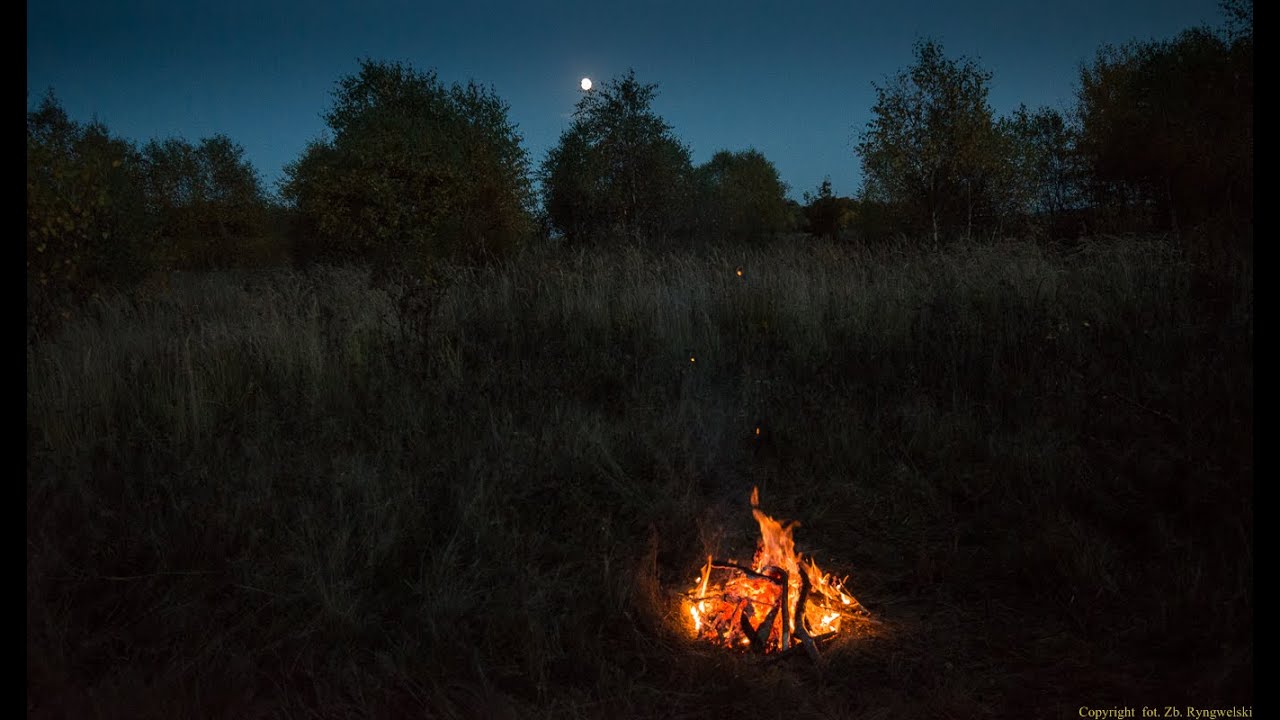 Polowanie Knieja Resko Hubertus 2015r fot. Zb.Ryngwelski