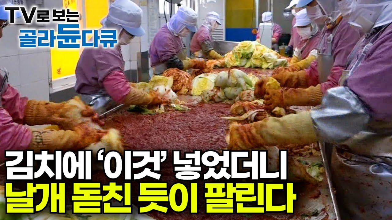 김치 공장 풀 가동 국산 김치 감칠맛의 비밀｜김치라고 다 같은 김치가 아닌 특별한 이유｜재료 한 끗 차이에서 나온다 ｜김장김치ㅣ김치 공장｜극한직업｜#골라듄다큐
