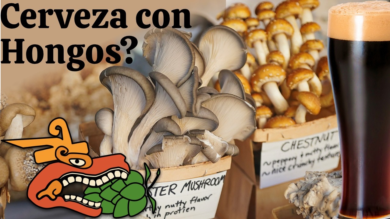 🍄 Cerveza con Hongos: ¿Locura o el Próximo Nivel del Sabor?