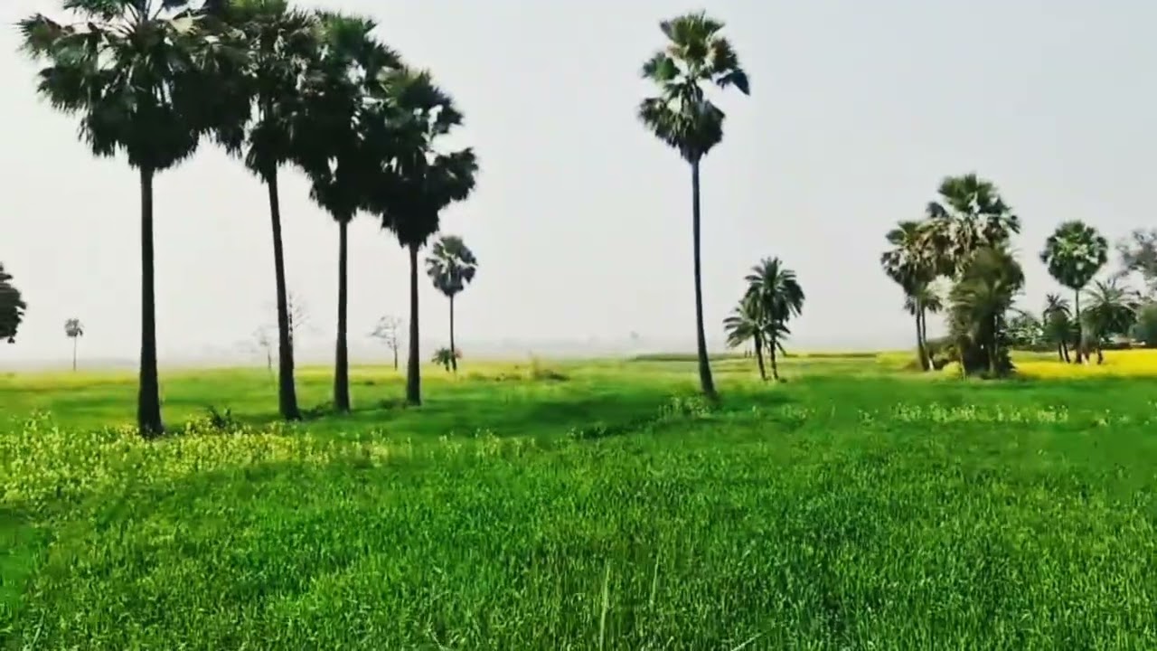WELCOME BACK TO NATURE. 🙏👌👍🎉💐.