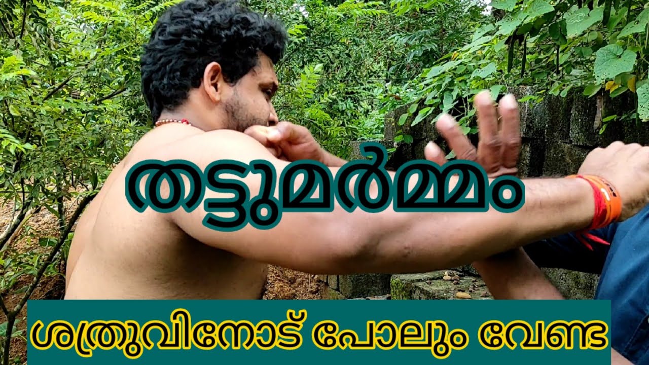 varma kalari/Ep 243/ തട്ടു മർമ്മം ശത്രുവിനോട് പോലും അരുത്/