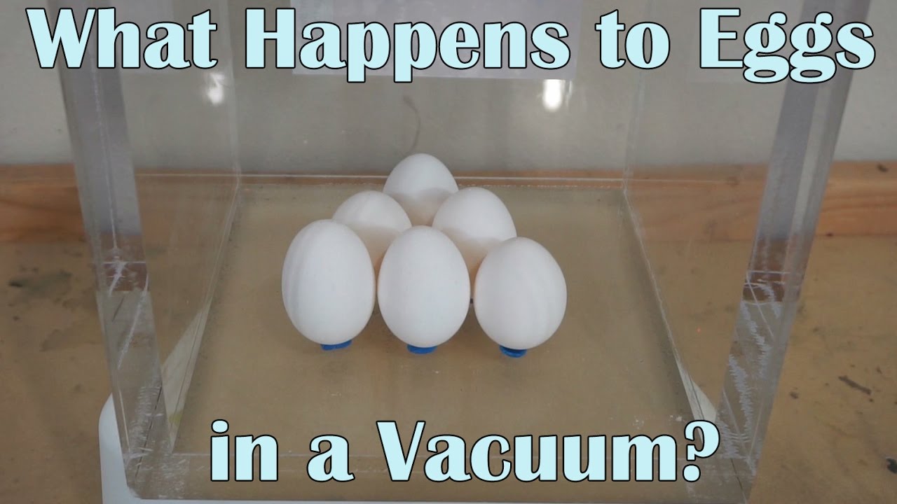 What Happens When You Put 6 Eggs In A Huge Vacuum Chamber?