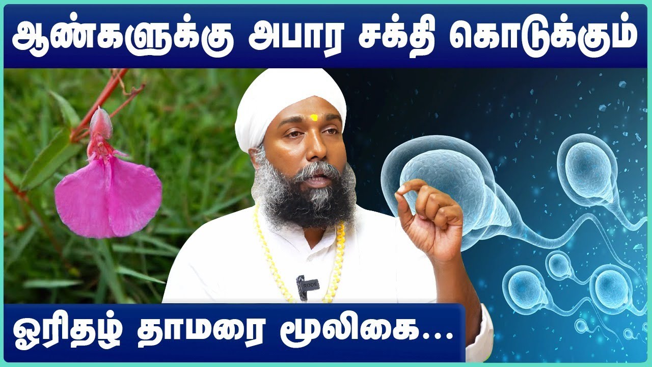 ஆண்களுக்கு அபார சக்தி கொடுக்கும் ஓரிதழ் தாமரை | orithal thamarai benefits tamil | Cosmo Health