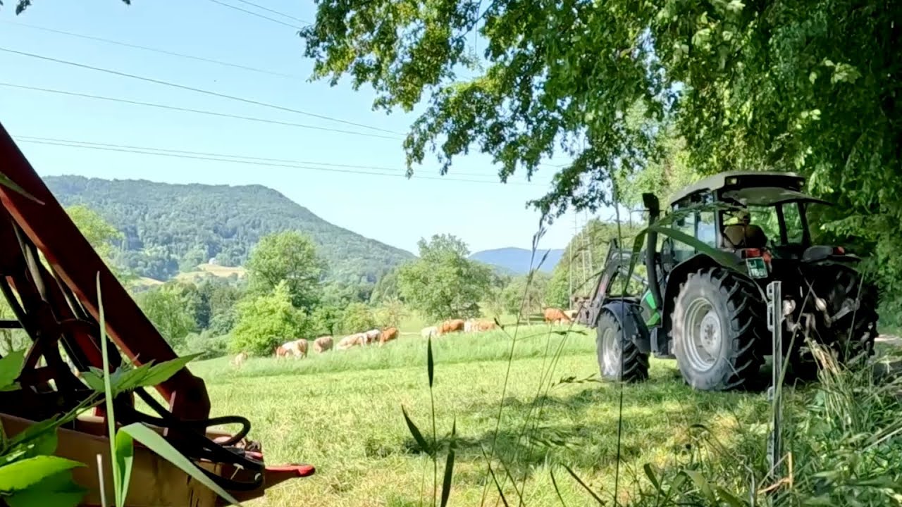 Working on a Small Farm