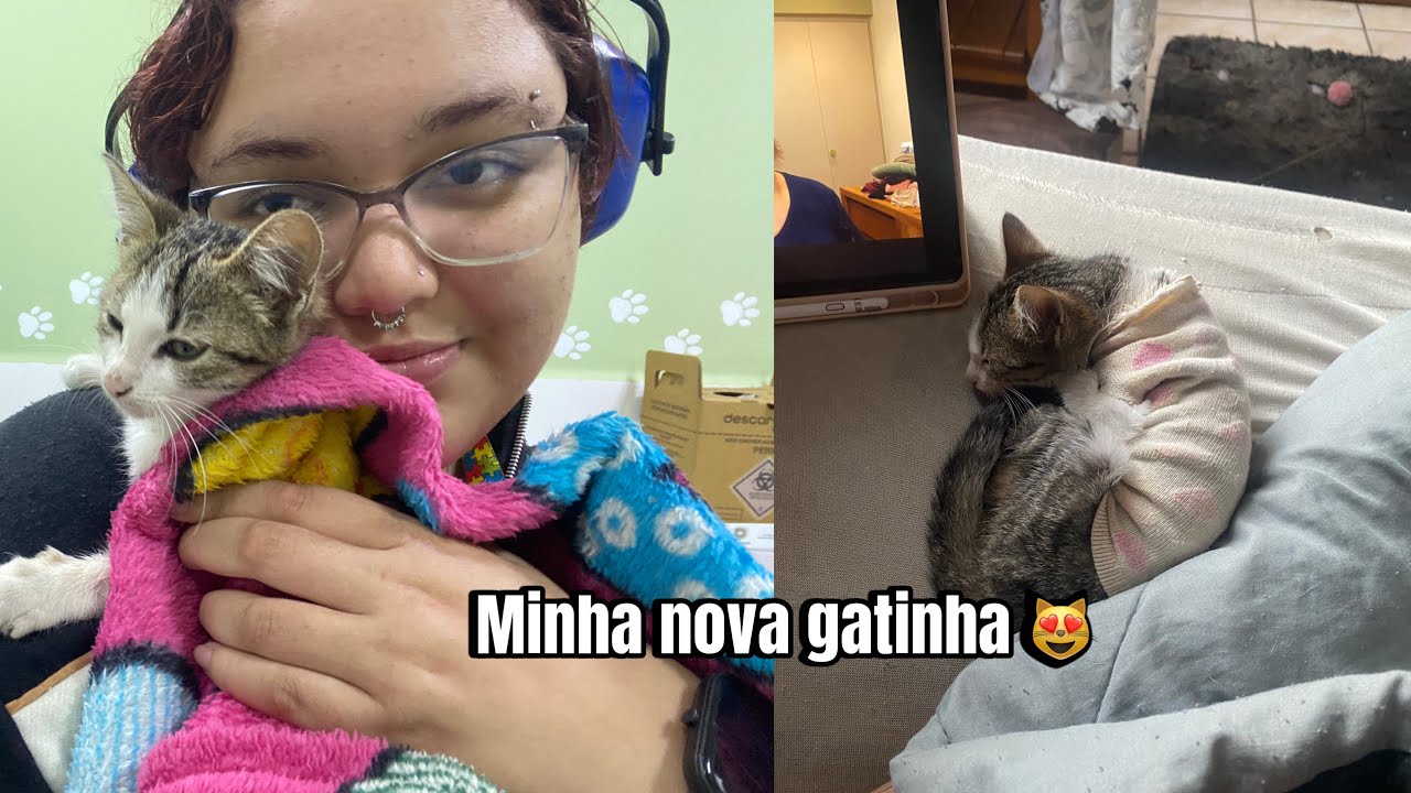 ADOTEI uma gatinha😻🫶🏻| adote não compre, vacinas, consulta veterinária, alimentação, cuidados.