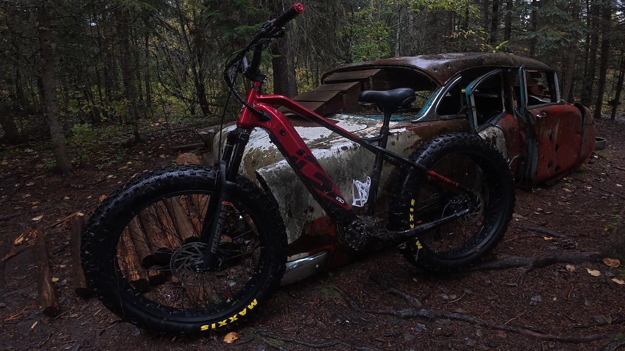 Otway Mountain Biking Trails