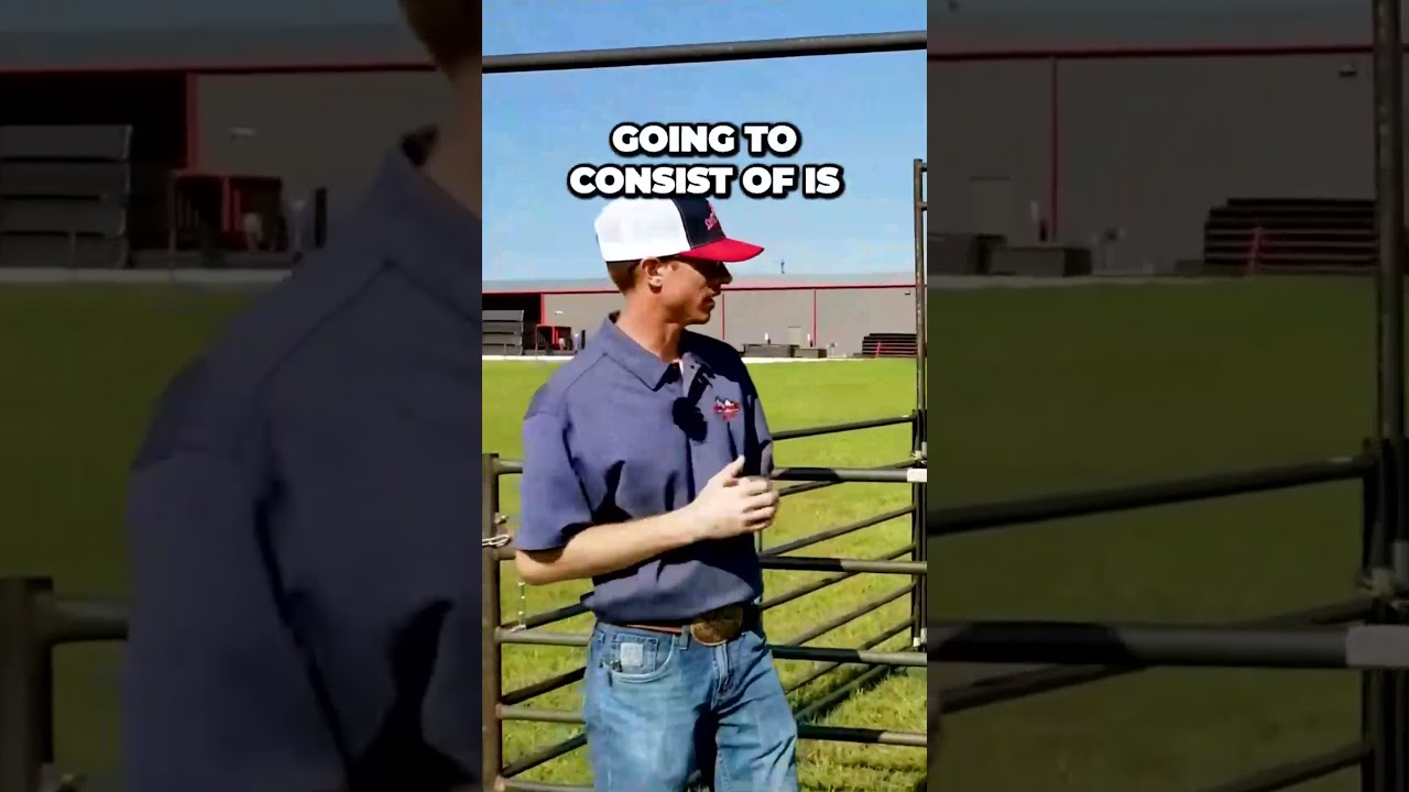 Revolutionary Goat and Sheep Working System Unveiled