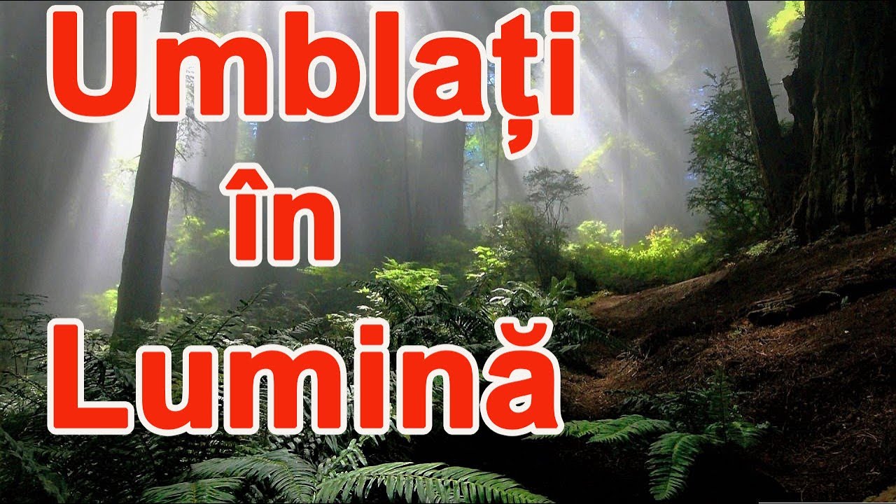 Părintele Daniel Avram - Cuvânt în Adunare