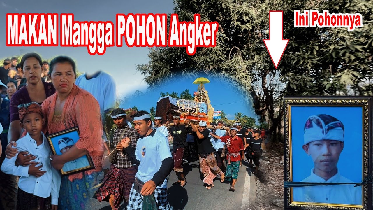 Pohon Mangga Angker !! Putu Yurasta KESAMBET dan Pergi Selamanya