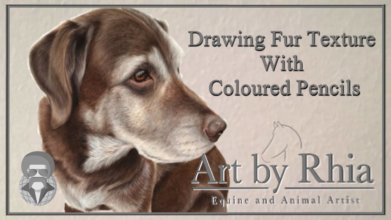 Drawing Fur Texture with Coloured Pencils