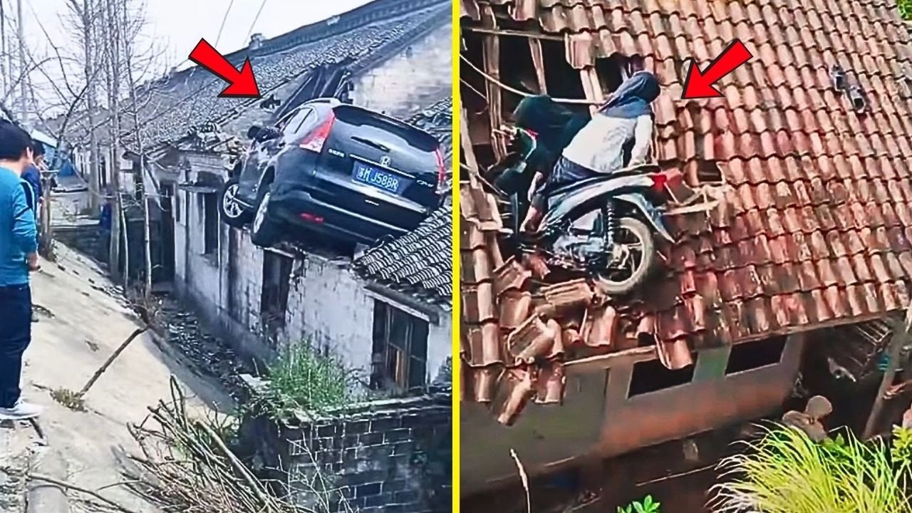 Des sc&egrave;nes incroyables captur&eacute;es sur la route !
