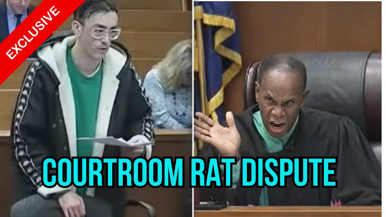 Tenant Claims Rats, Landlord Denies — Explosive Courtroom Showdown