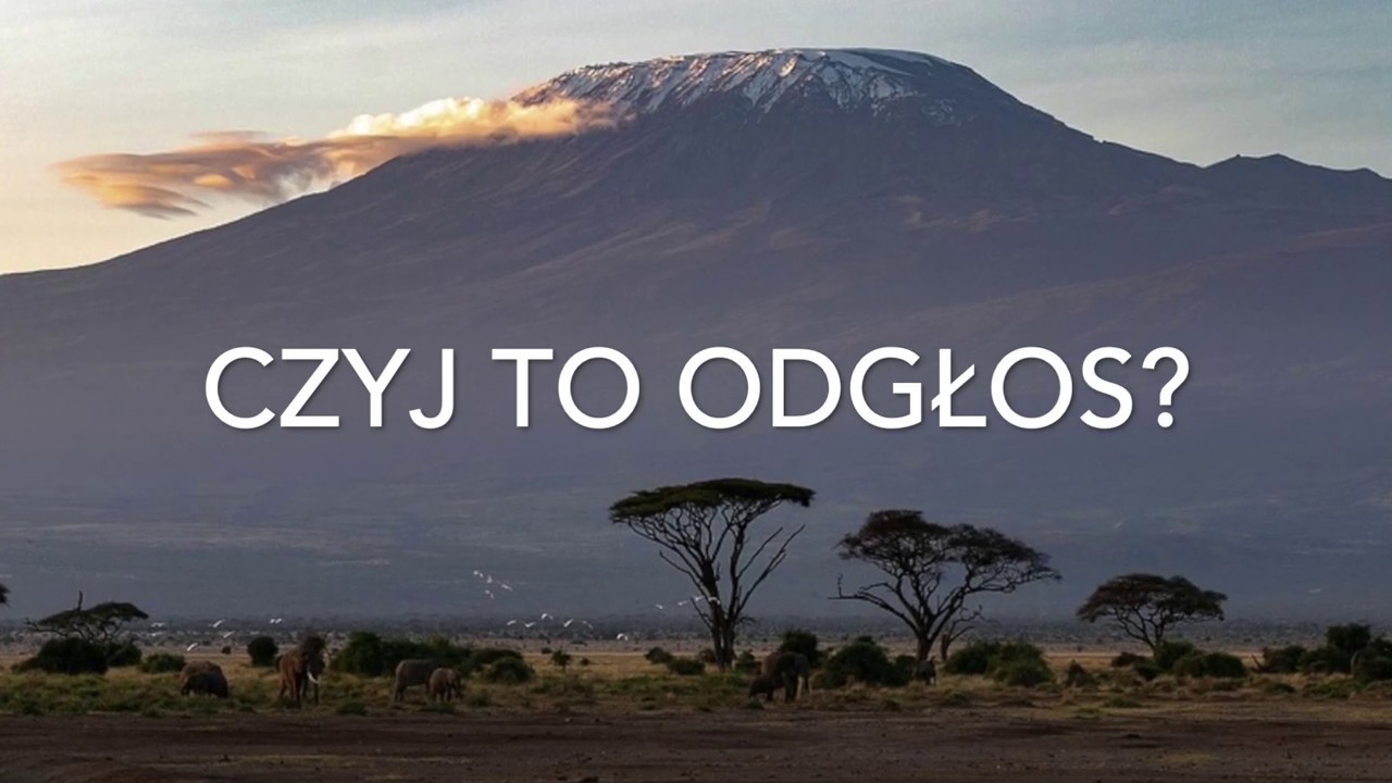 Odgłosy zwierząt egzotycznych