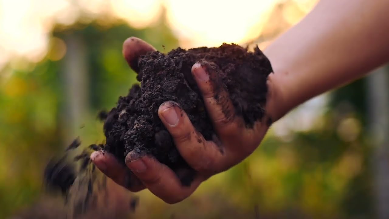 Hardys Multipurpose Garden Compost Soil