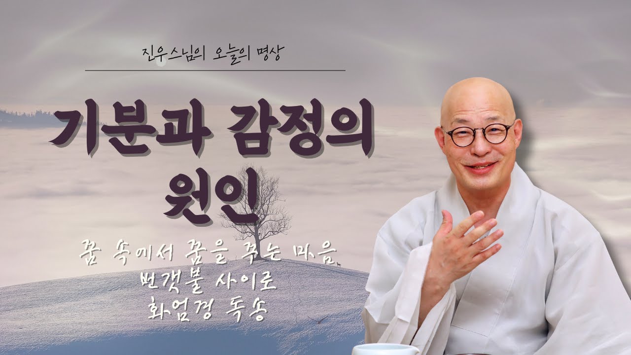 기분과 감정은 왜 생기는가 — 꿈속에서 꿈을 꾸는 마음 - 번갯불사이로 - 화엄경 독송 #오늘의명상#진우스님#감정의정체