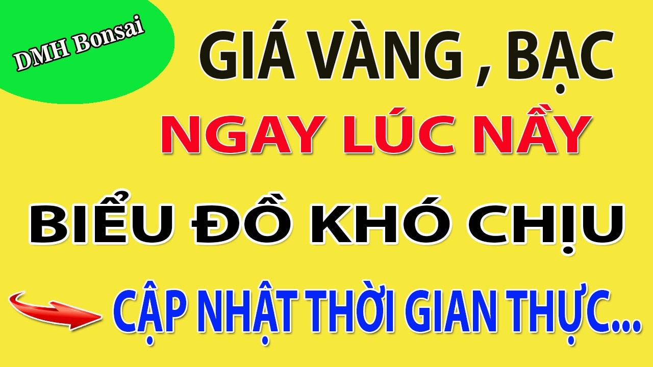 TRỰC TIẾP GIÁ VÀNG HÔM NAY - CẬP NHẬT  - Gía Vàng SJC - Vàng Nhẩn , Vàng 9999..