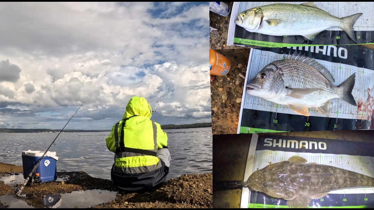 Land based fishing Lake Macquarie