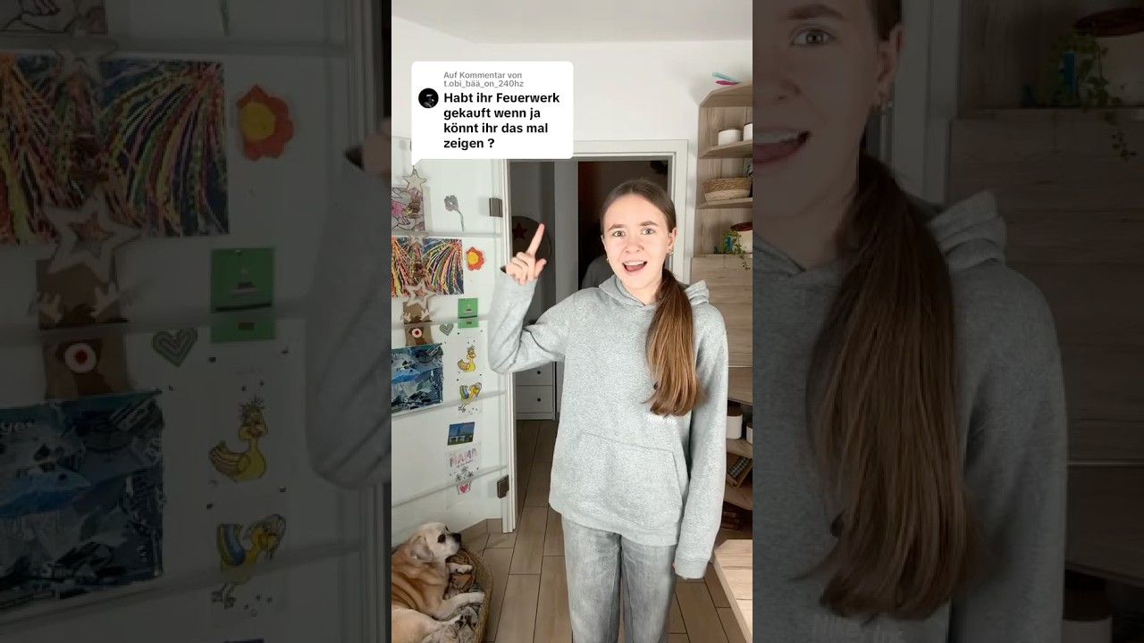 Was sollen Jule & Basti f&uuml;r Feuerwerk kaufen? #holidayswithyoutube #feuerwerk #silvester