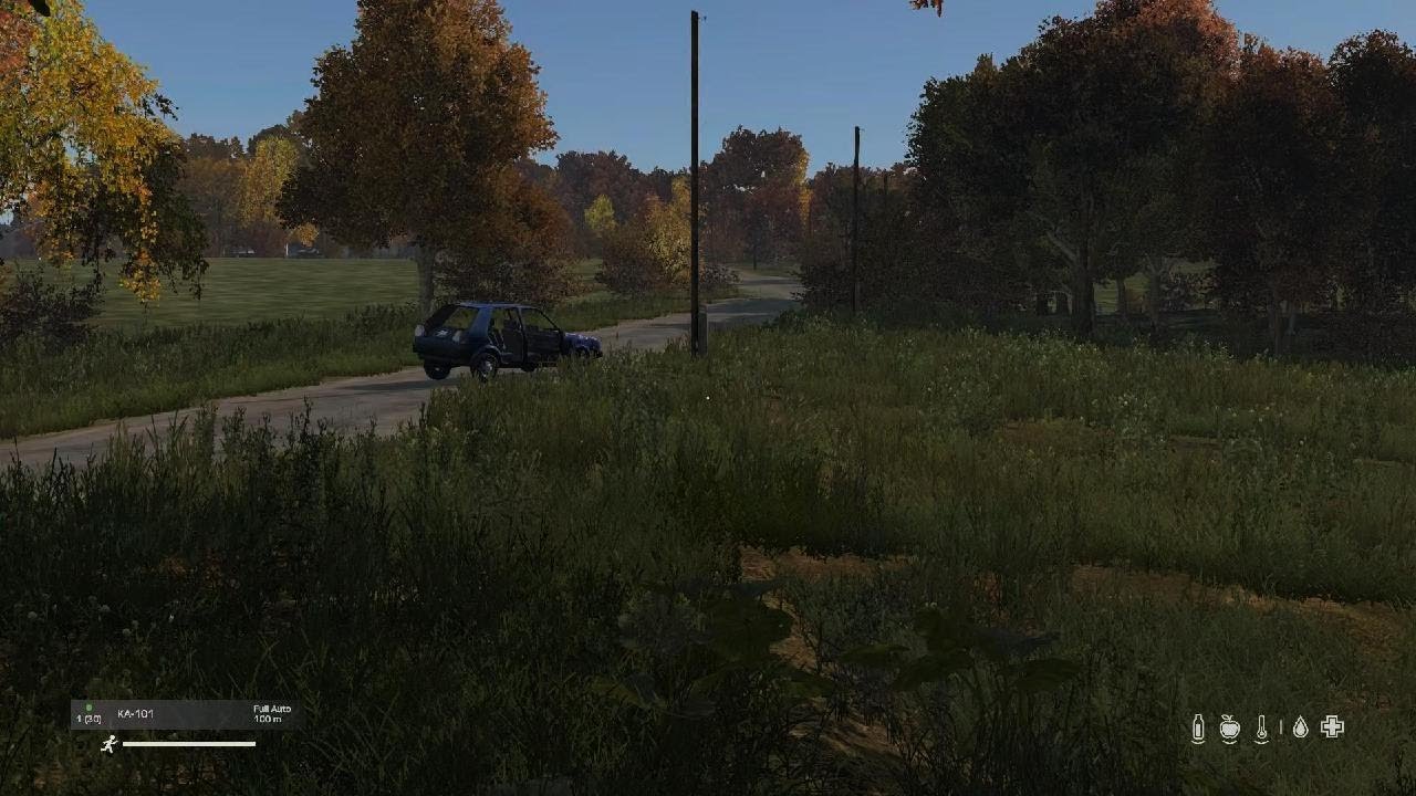 DayZ_20260228125817