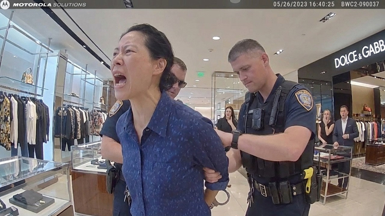 Asian Woman Arrested 4 Times Caught Stealing $3,895 in Luxury Items