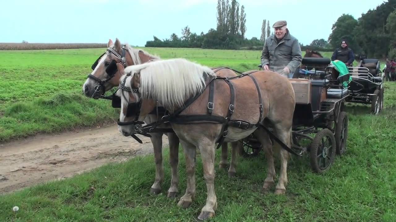 Menclub De Passant op uitstap