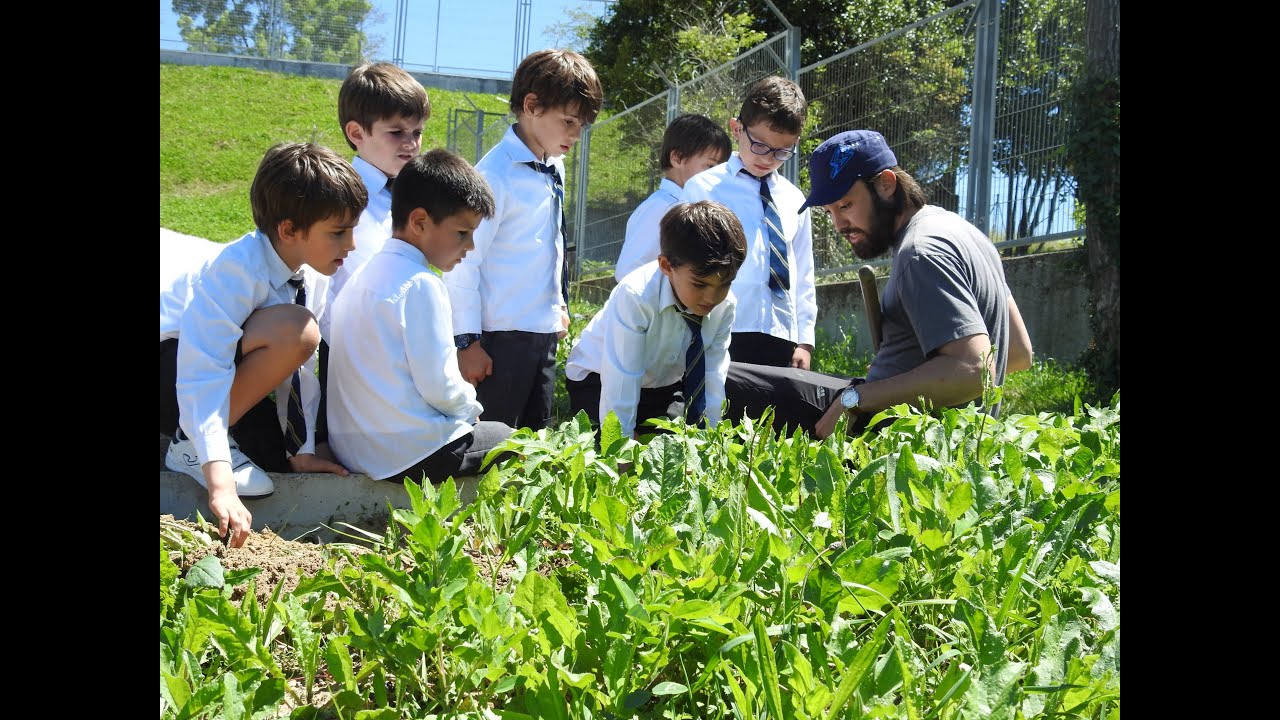 De Educación Infantil a Primaria - Colegio Gaztelueta Ikastetxea