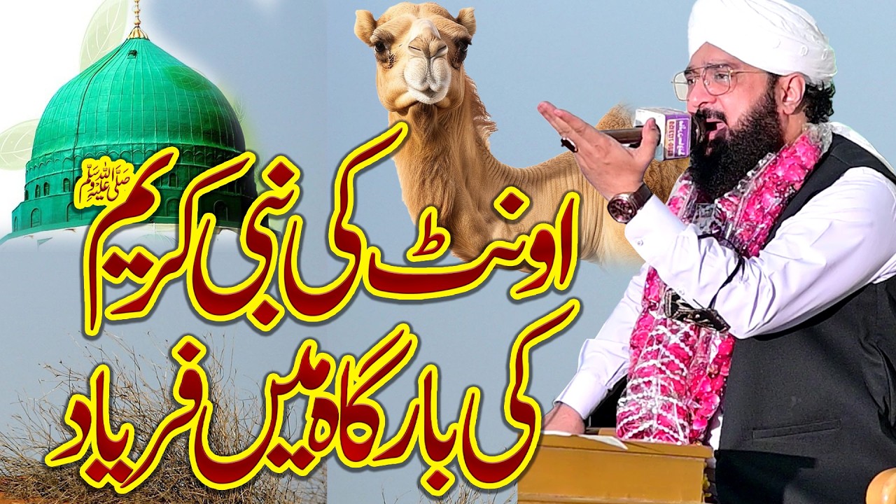 Hafiz Imran Aasi - Ount ki Nabi e Kareem ﷺ ki Bargah Main Faryad New Bayan Imran Aasi #imranaasi