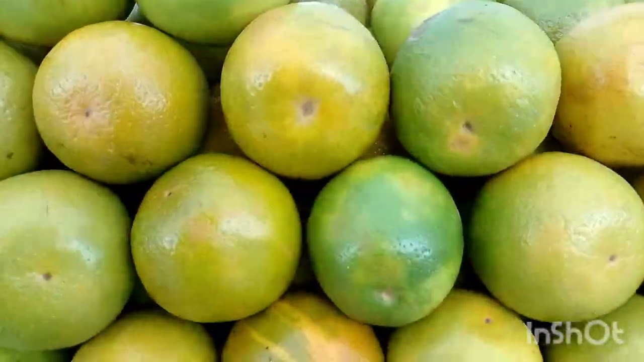 Dia de fazer feira 🍉🥝