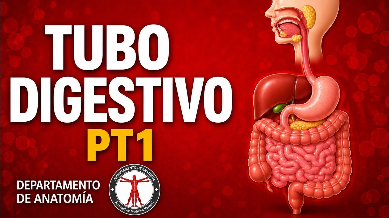 TUBO DIGESTIVO Y ANEXOS