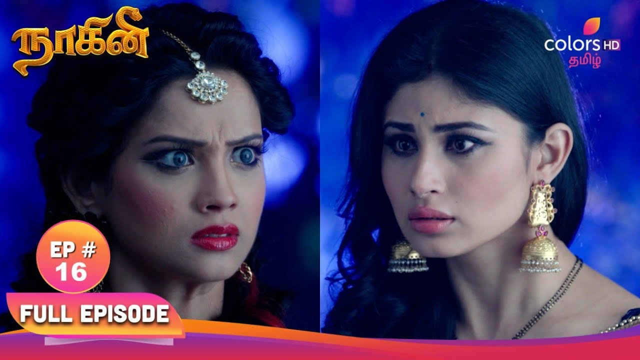 Naagini S1 | நாகினி S1 | EP 16 | ஷ்ரேயாவுக்கு எதிராக திரும்பும் ஷிவன்யா | Colors Tamil