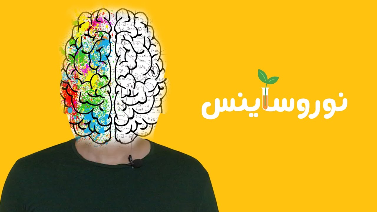نوروساینس (علوم اعصاب): حوزه های مختلف نوروساینس