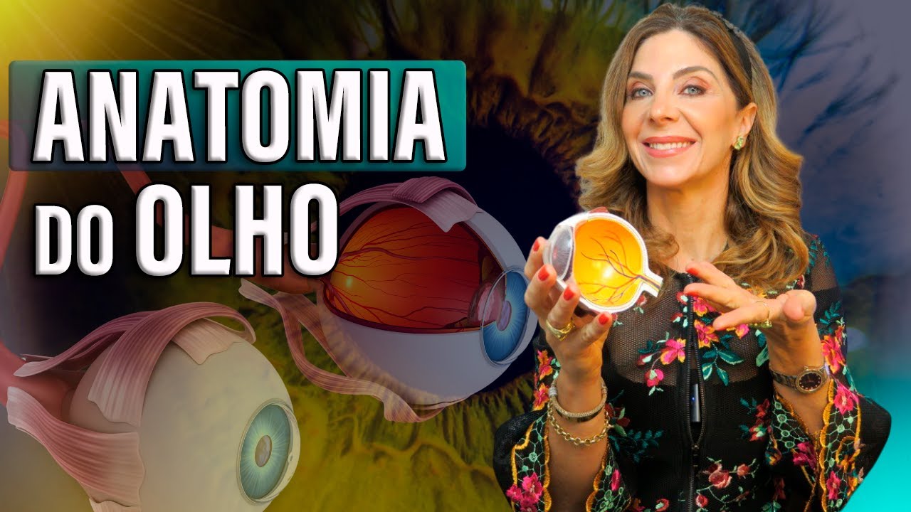 Anatomia do Olho - Como Funciona o Olho Humano