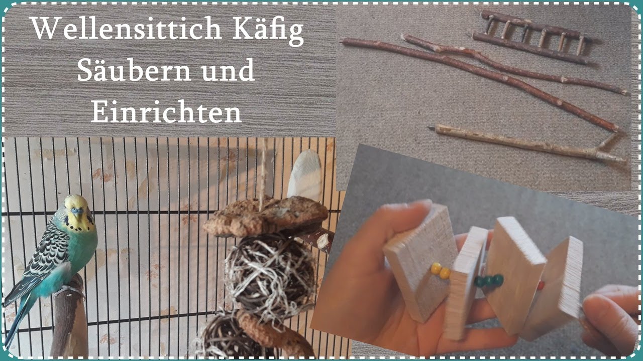 Wellensittich Käfig Säubern & neu Einrichten | FranzisPflegeKiste