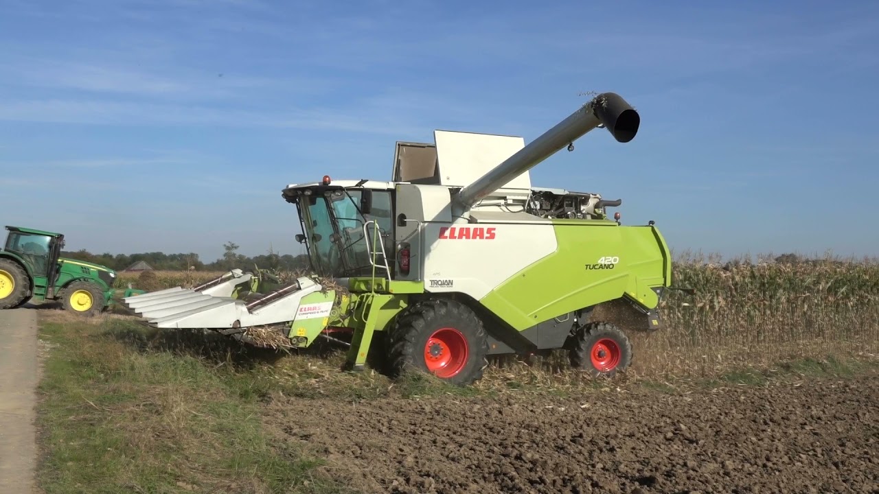 Żniwa Kukurydziane 2021 || Claas Tucano 420 ||