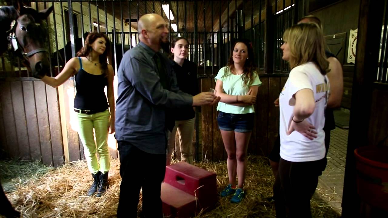 UMD Foals