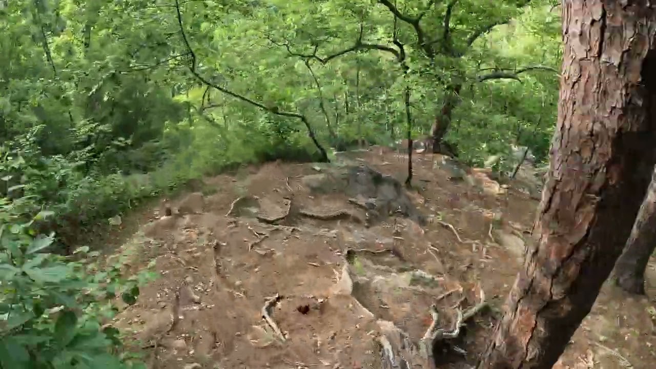 Going down to Peavine Falls