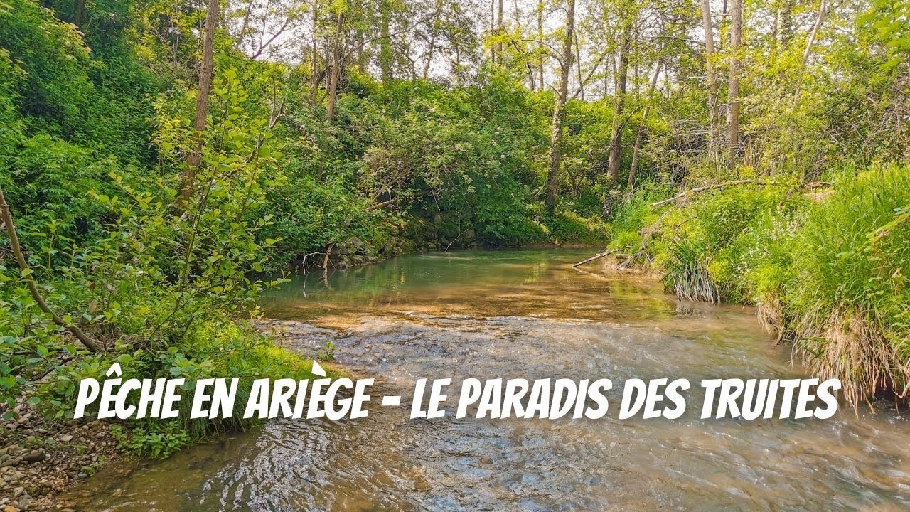 PÊCHE EN ARIÈGE - A LA RECHERCHE DES TRUITES ARIÉGEOISES !