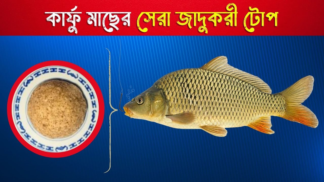 খুব সহজেই কার্ফু মাছের টোপ তৈরি করুন । Simple Way To Make Common Carp Fish Bait । Karfu Macher Top