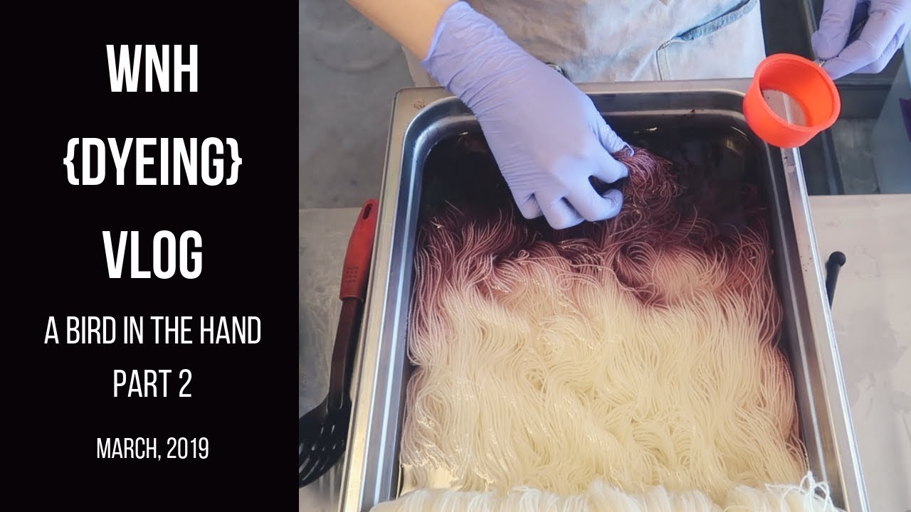 The {Yarn Dyeing} Vlog-A Bird in the Hand Part 2 with Fiber for the People® (March,  2019)