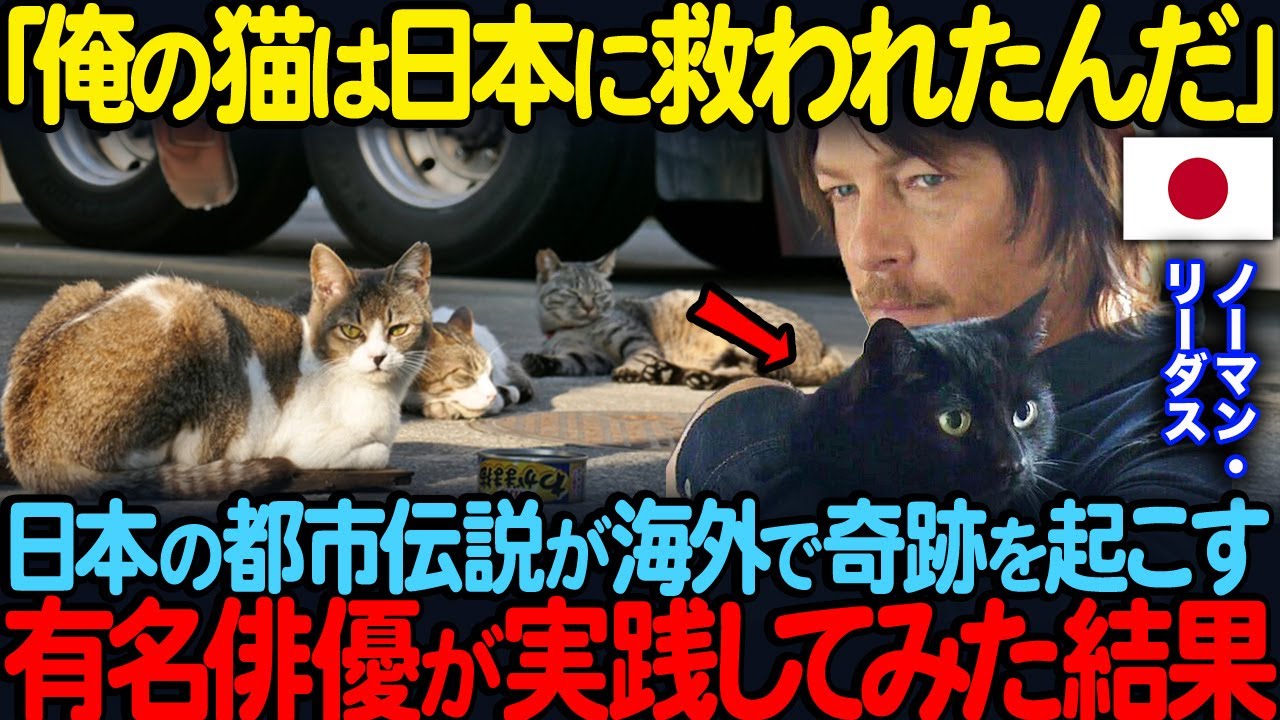 「日本のおかげで愛猫が帰ってきた」日本の猫に関する都市伝説が海外で奇跡を起こすノーマン・リーダスが実践してみた結果【海外の反応】