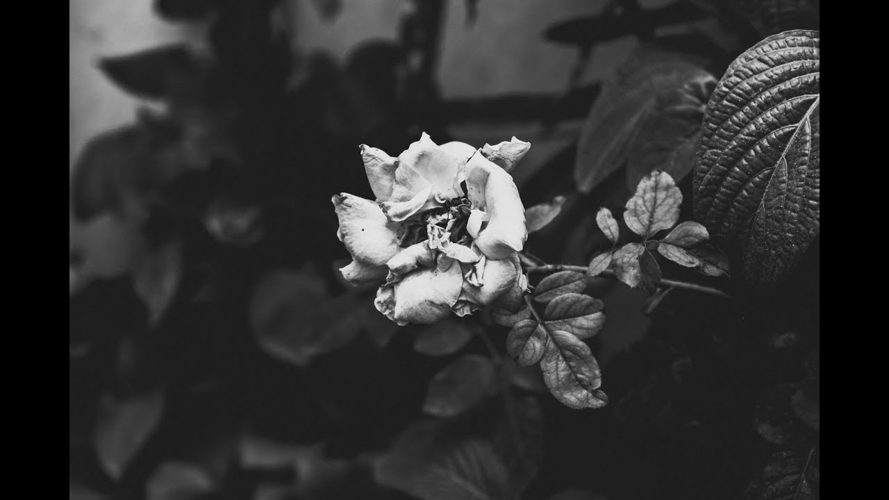 kindred & closure