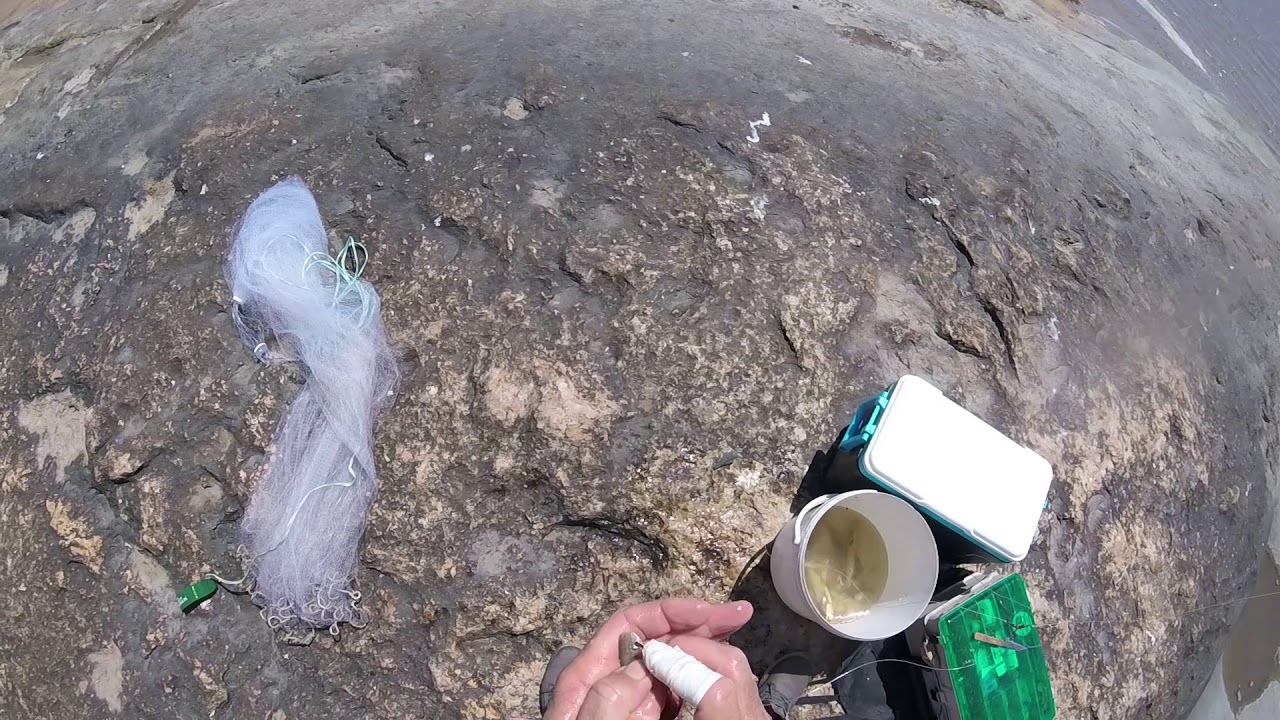 P&ecirc;che en Guyane   technique acoupa en 2 min