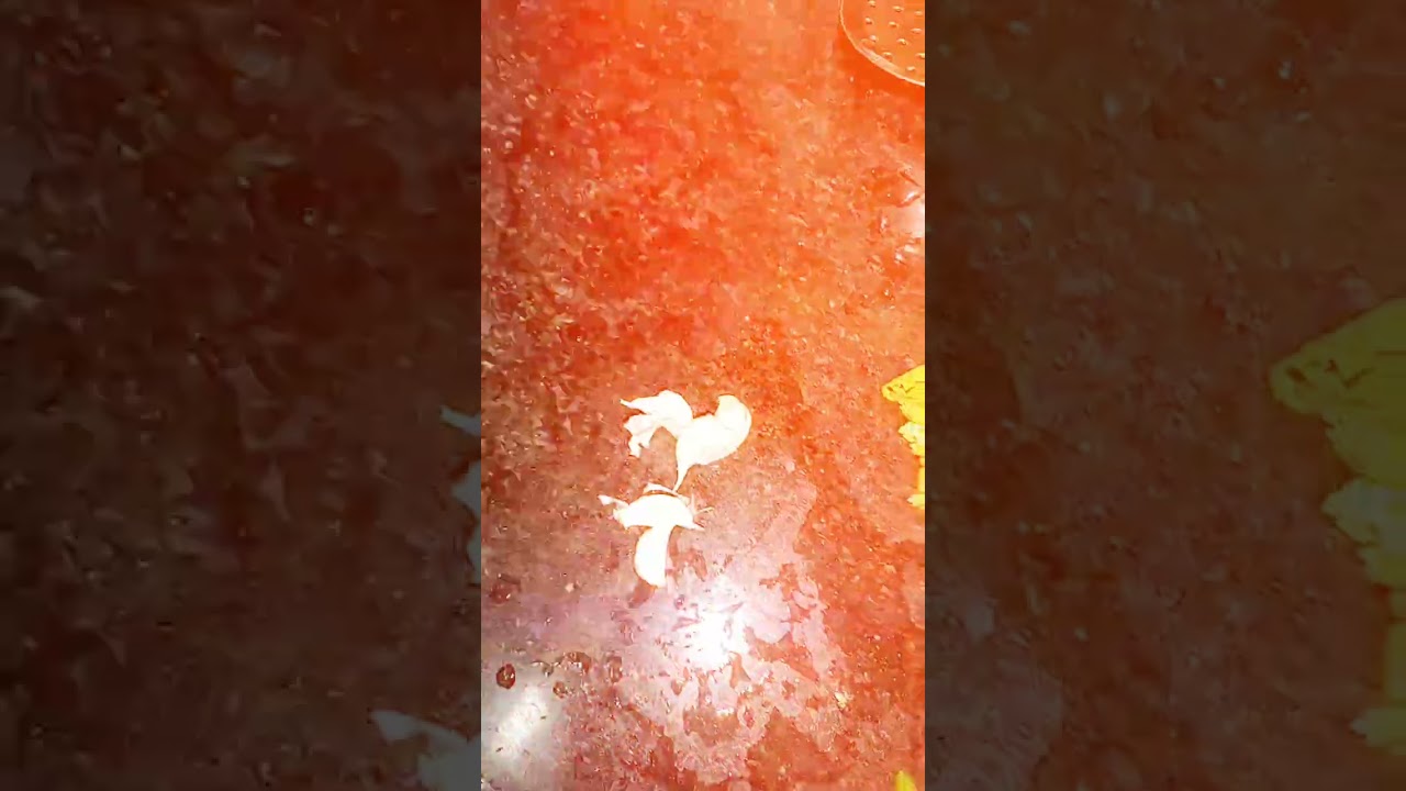 Alio olio maggi maine bhi banai....😊❤️