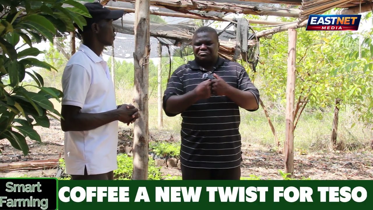 Coffee a new a pproach to eradicate poverty in Teso sub-region