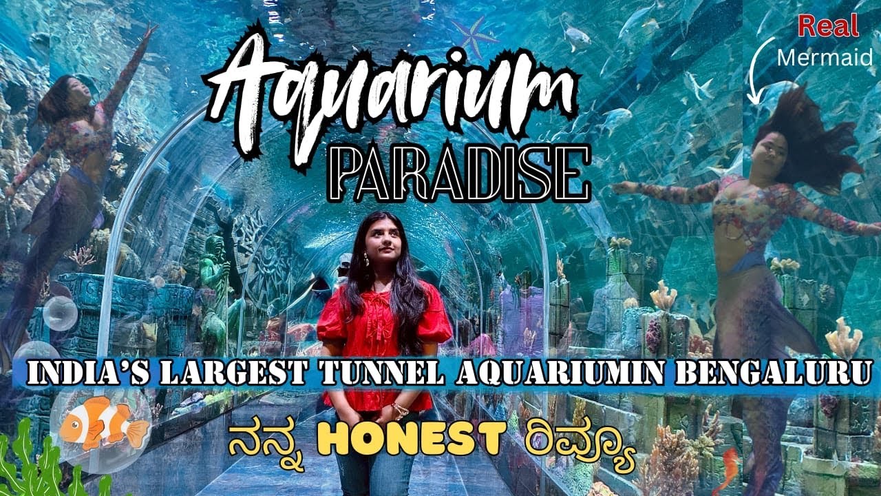 India’s longest underwater aquarium|Aquarium paradise bengaluru| live mermaids in Namma Bengaluru|