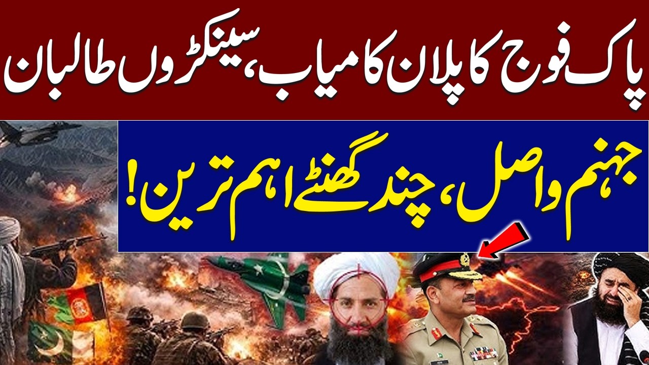 Pak-Afghan War: Taliban Suffer Massive Losses | Maria Sultan Analysis | Talk Show Samaa